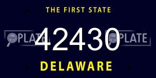 42430 Delaware License Plate