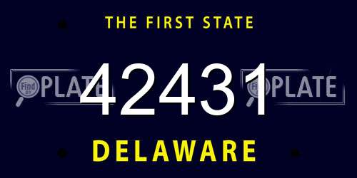 42431 Delaware License Plate