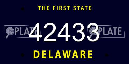 42433 Delaware License Plate