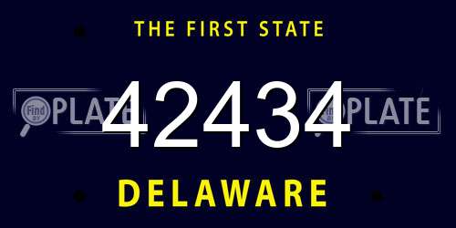 42434 Delaware License Plate