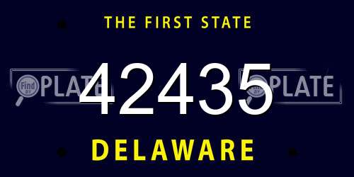 42435 Delaware License Plate