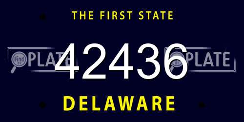 42436 Delaware License Plate