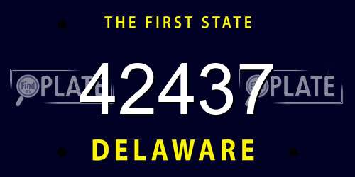 42437 Delaware License Plate