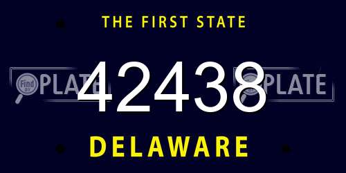 42438 Delaware License Plate