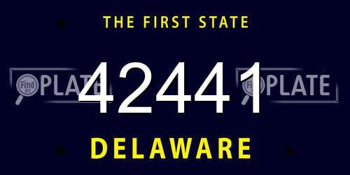 42441 Delaware License Plate