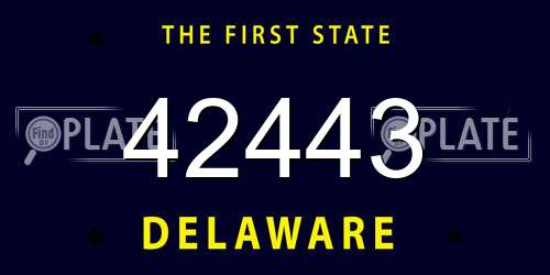 42443 Delaware License Plate