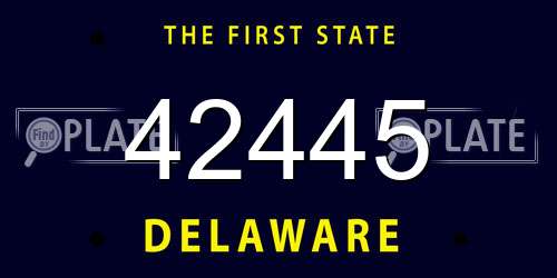 42445 Delaware License Plate