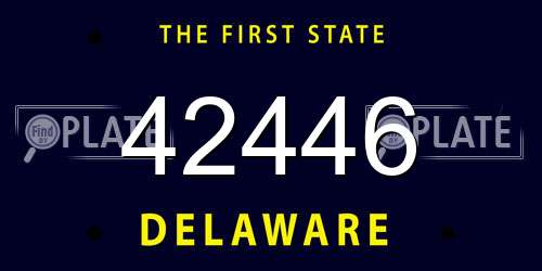 42446 Delaware License Plate