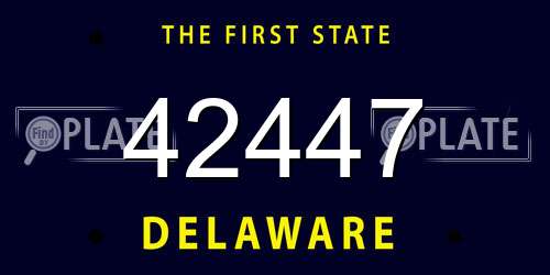 42447 Delaware License Plate