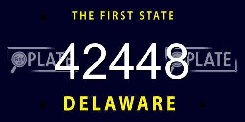 42448 Delaware License Plate