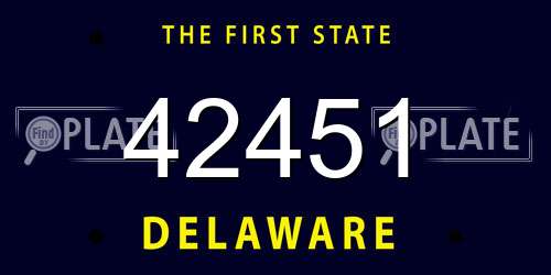 42451 Delaware License Plate