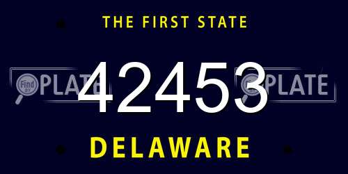 42453 Delaware License Plate