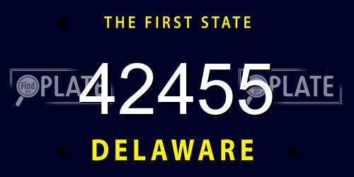 42455 Delaware License Plate