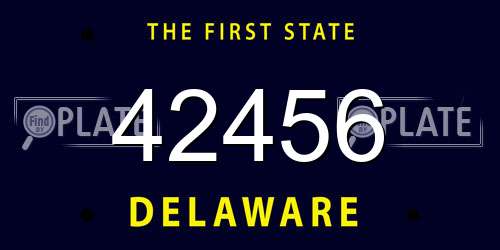 42456 Delaware License Plate