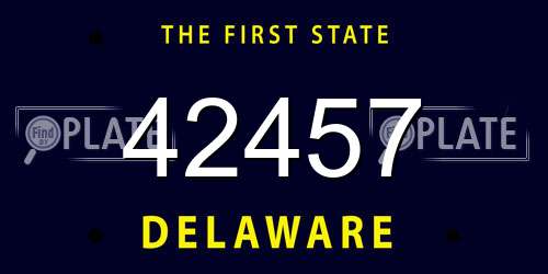 42457 Delaware License Plate