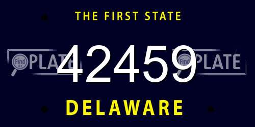 42459 Delaware License Plate