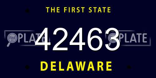 42463 Delaware License Plate