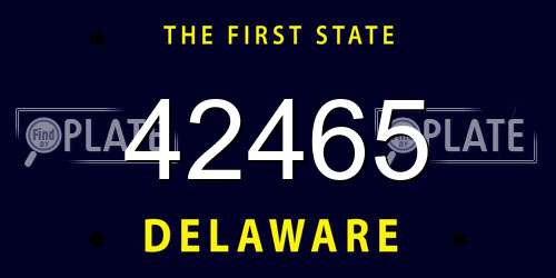 42465 Delaware License Plate
