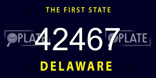 42467 Delaware License Plate