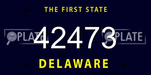42473 Delaware License Plate