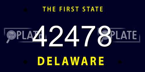 42478 Delaware License Plate