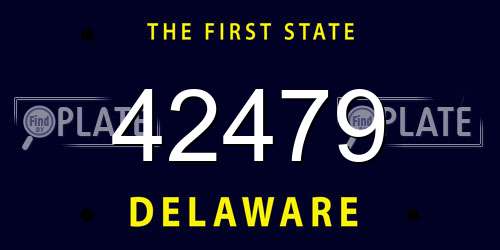 42479 Delaware License Plate