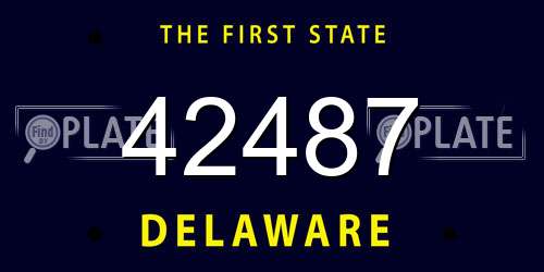 42487 Delaware License Plate
