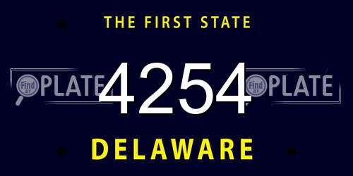 4254 Delaware License Plate