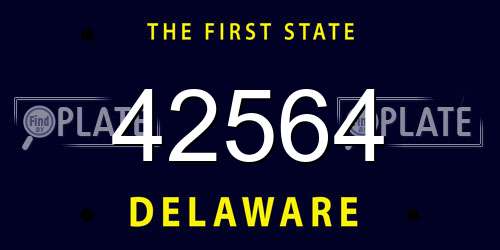 42564 Delaware License Plate
