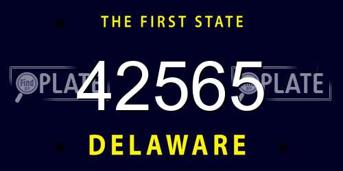 42565 Delaware License Plate