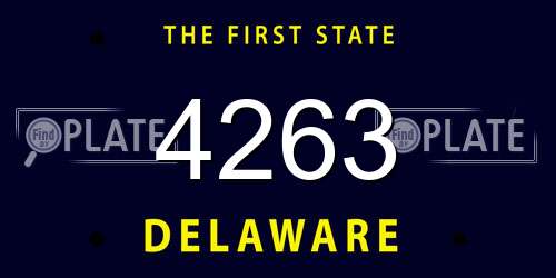 4263 Delaware License Plate