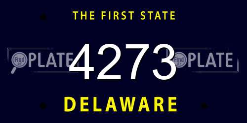 4273 Delaware License Plate