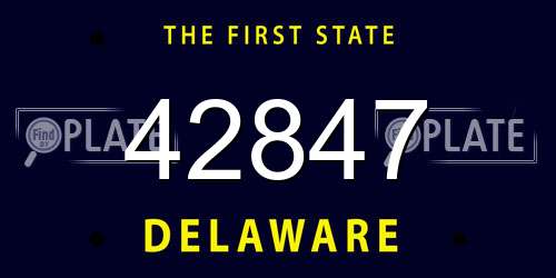 42847 Delaware License Plate