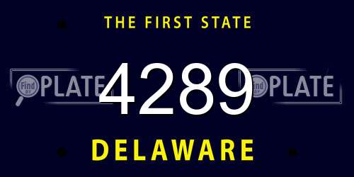 4289 Delaware License Plate