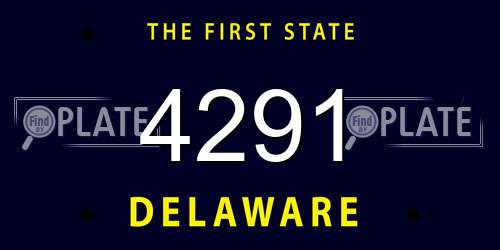 4291 Delaware License Plate
