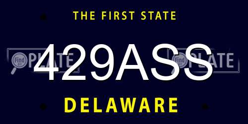 429ASS Delaware License Plate