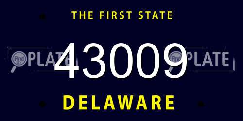 43009 Delaware License Plate