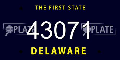 43071 Delaware License Plate