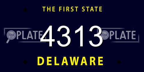 4313 Delaware License Plate