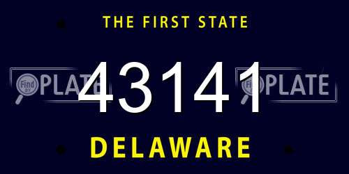 43141 Delaware License Plate