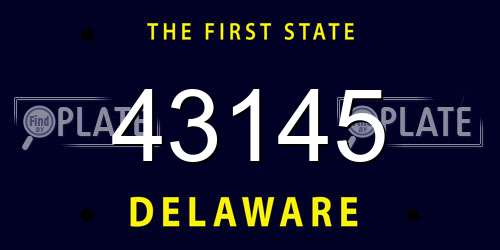 43145 Delaware License Plate