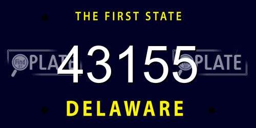 43155 Delaware License Plate
