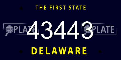 43443 Delaware License Plate