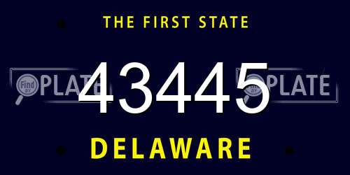 43445 Delaware License Plate