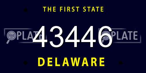 43446 Delaware License Plate