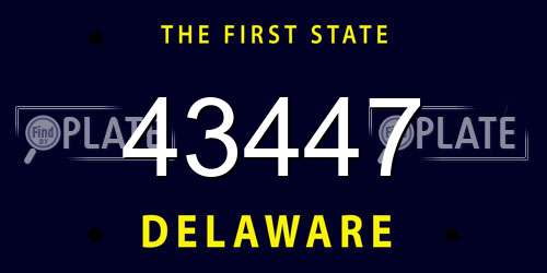 43447 Delaware License Plate