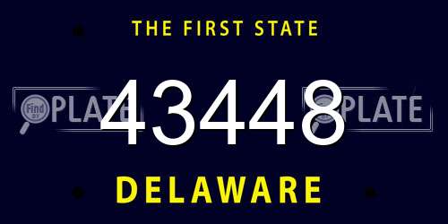 43448 Delaware License Plate