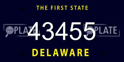 43455 Delaware License Plate