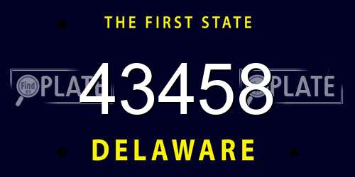 43458 Delaware License Plate