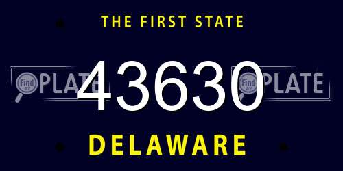 43630 Delaware License Plate